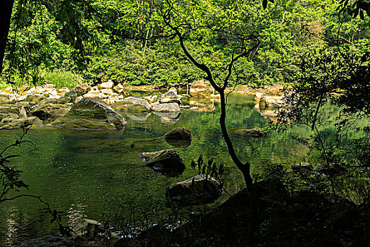 電影《除暴》總投資多少錢？揭秘背后的資金鏈和票房前景