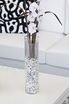 喝多少酒屬于矢量？揭秘飲酒的適量與健康