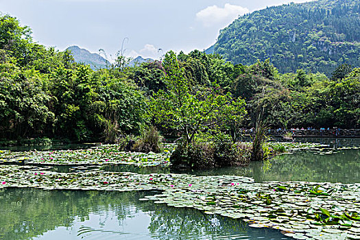 武漢洪山區(qū)保姆多少錢(qián)？揭開(kāi)家政行業(yè)的真實(shí)價(jià)格