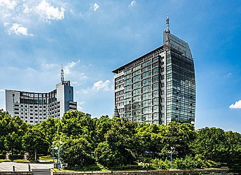 金牌月嫂一線城市多少錢？揭秘高端月嫂服務價格與市場現狀