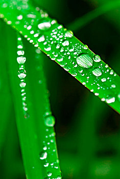 水平根據生活姆根據？