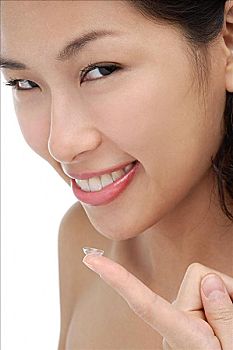 汕尾緬因貓多少錢一只？揭秘汕尾市場上緬因貓的價格與購買指南