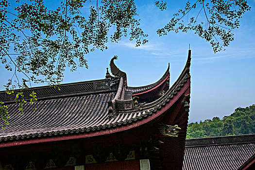 電影院《金剛川》一人多少錢？探秘觀影新體驗！