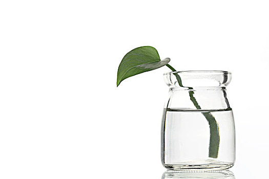 照顧老人工作：薪資待遇與前景分析
