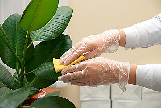澳洲住家保姆工資多少？揭秘澳洲住家保姆薪資與福利