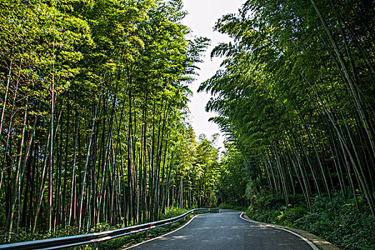 青島半天家政工資多少？了解青島家政行業(yè)的薪資趨勢