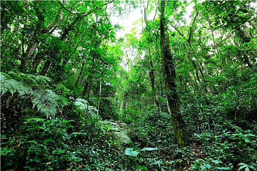 北京住家保姆價格揭秘：讓您輕松找到合適的家庭幫手