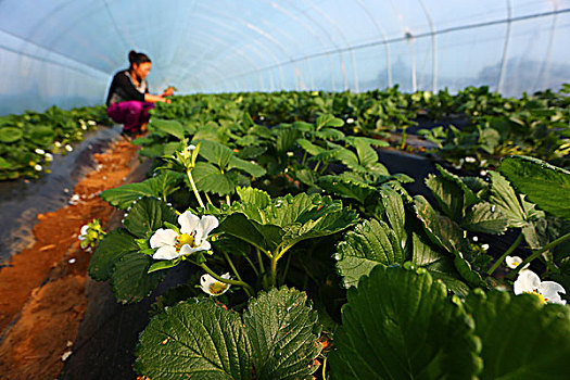 保姆工資多少？揭秘2025年保姆行業的收入與未來趨勢