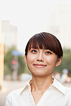 緬因虎斑貓多少錢？了解這個(gè)迷人貓種的價(jià)值與選擇