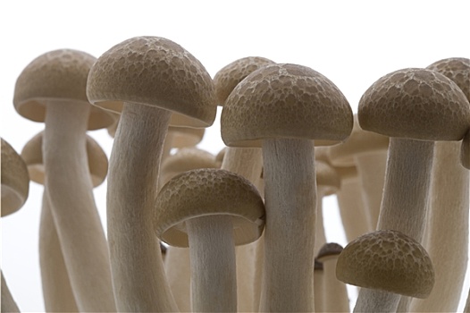 《溫暖的抱抱》票房大揭秘，票房成績超預(yù)期，感動觀眾引爆熱議！