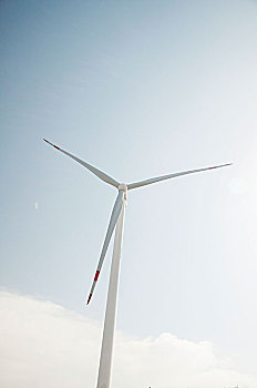 電影《刀尖》成本揭秘：一場視覺與心靈的極致碰撞