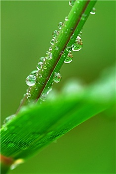 海安保姆工資多少？揭秘海安保姆市場(chǎng)的薪資趨勢(shì)與就業(yè)前景