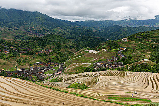 狂野大陸投資多少？把握機(jī)會(huì)，開啟財(cái)富之路！