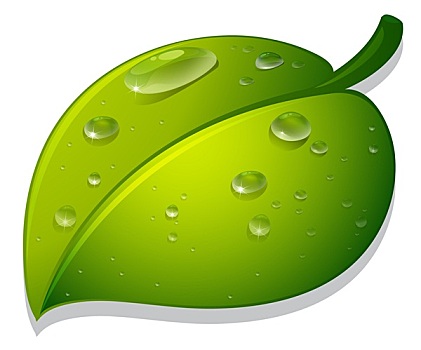 油箱燈亮了還能開(kāi)多久？揭秘背后的真相