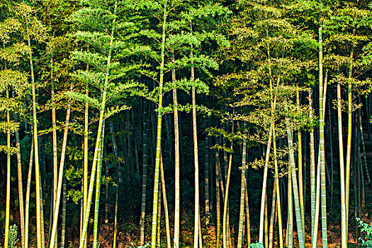 醫(yī)院做護(hù)工多少錢(qián)一天？了解價(jià)格與服務(wù)內(nèi)容，幫你做出明智選擇