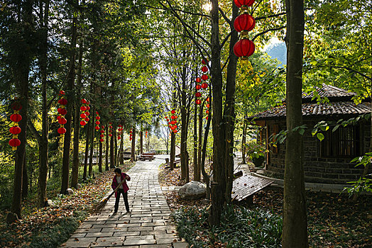 番禺無(wú)創(chuàng)多少錢(qián)？探索無(wú)創(chuàng)技術(shù)的魅力與價(jià)格