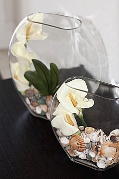 上海找一個月嫂多少錢？讓您了解月嫂價格背后的秘密！