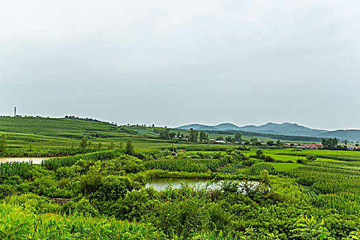 請(qǐng)個(gè)住家保姆每月多少錢(qián)？揭秘高性價(jià)比的家政服務(wù)選擇