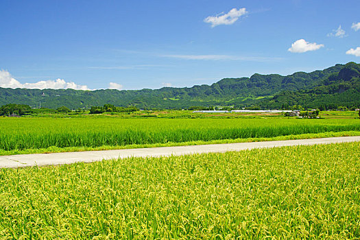今年家政員多少錢一個月？揭開2025年家政行業的薪資真相