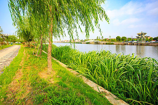 上海現(xiàn)在小時(shí)工多少錢？了解上海小時(shí)工市場的現(xiàn)狀與未來趨勢