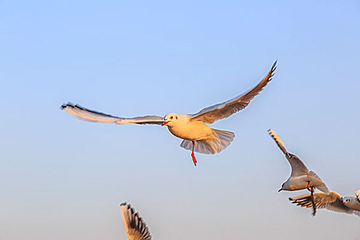 我和我的家鄉(xiāng)能掙多少錢——探索家鄉(xiāng)發(fā)展的商機與未來