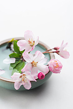 金華保姆月工資多少錢？揭秘金華保姆行業(yè)薪資水平與發(fā)展前景