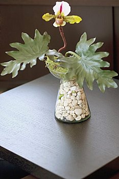 金牌保姆一個(gè)月多少錢？揭秘高品質(zhì)家庭服務(wù)背后的價(jià)值