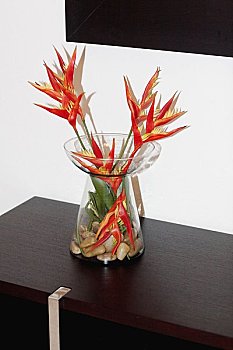 重慶家政工資一般多少錢？揭秘家政行業的薪資和發展前景
