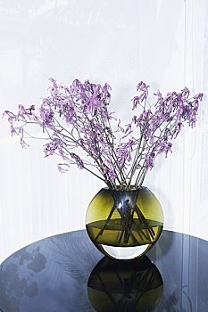 澳門月嫂服務價格解析——為您解答澳門月嫂多少錢