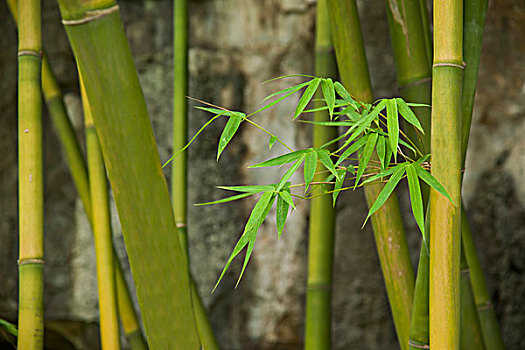 湖州月嫂工資一般多少？一文揭秘湖州月嫂行業的薪資現狀！