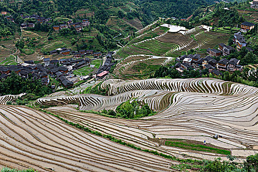 深圳保姆能掙多少錢(qián)？揭秘保姆行業(yè)的高薪秘密