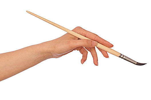 黑虎斑緬因貓多少錢一只？了解價(jià)格背后的魅力與養(yǎng)護(hù)知識(shí)