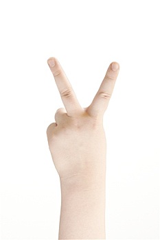專業(yè)家政服務(wù)多少錢？如何選擇性價比最高的家政服務(wù)？