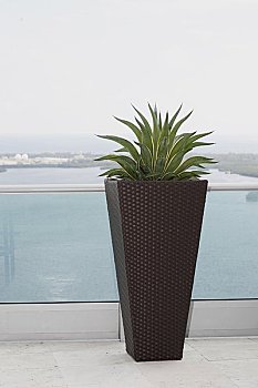 家政保潔工工資多少錢？揭秘家政行業的薪資水平與發展前景