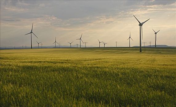 廣州家政工資多少錢？全面解析家政行業的薪資水平！