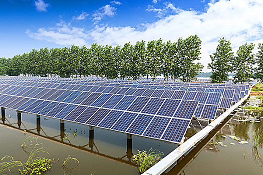 重慶住家保姆工資多少？揭開家政行業的薪資秘密