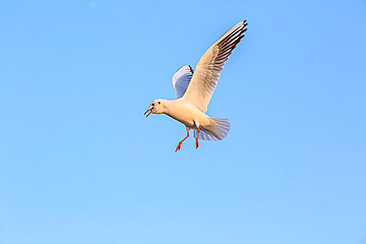 找保姆價(jià)格是多少？如何選擇合適的保姆服務(wù)？