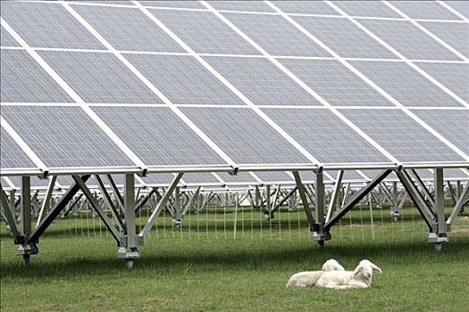 中國電影一簽賺多少錢？揭秘電影圈收入的幕后真相