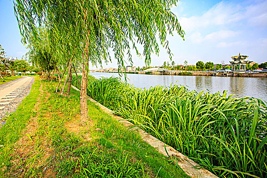 住家保姆多少錢(qián)工資？讓你了解真實(shí)薪資水平