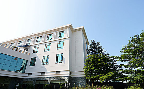 洛陽家政行業的興起與發展：市場潛力大揭秘