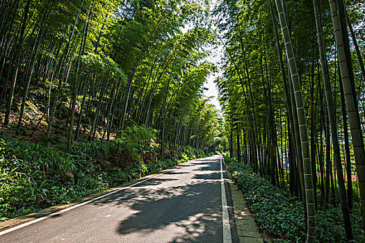廣州住家保姆工資多少？揭秘背后的行業趨勢與薪酬水平