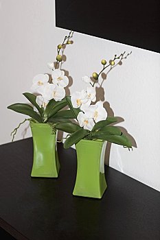 《除暴》拍攝花費揭秘：一部動作巨制的背后投入與價值