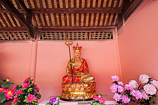 寶母中價(jià)是多少？了解寶母中價(jià)格的秘密，揭示其市場(chǎng)潛力