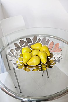 純種緬因貓多少錢？了解純種緬因貓的價格與選購指南