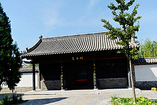 緬因貓多少錢一只？——了解緬因貓的價格與養護