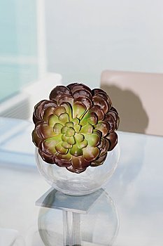 燒飯保姆一個(gè)月多少錢？揭開(kāi)家庭服務(wù)背后的價(jià)值與選擇