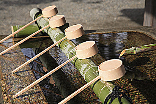 育兒師多少錢一天？揭秘育兒師的服務(wù)費(fèi)用與選擇秘訣