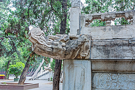 《你好，李煥英》票房大揭秘：如何成為2021年中國(guó)電影票房黑馬
