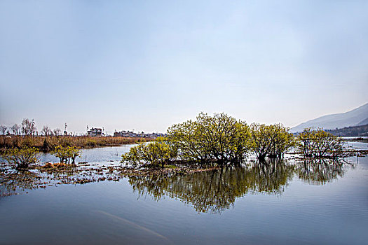 重慶市保姆工資大揭秘：真實(shí)薪資，職業(yè)前景，給你不一樣的認(rèn)知！