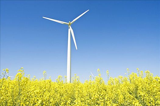 在泉州清洗空調多少錢？專業空調清洗服務讓你告別空調煩惱！